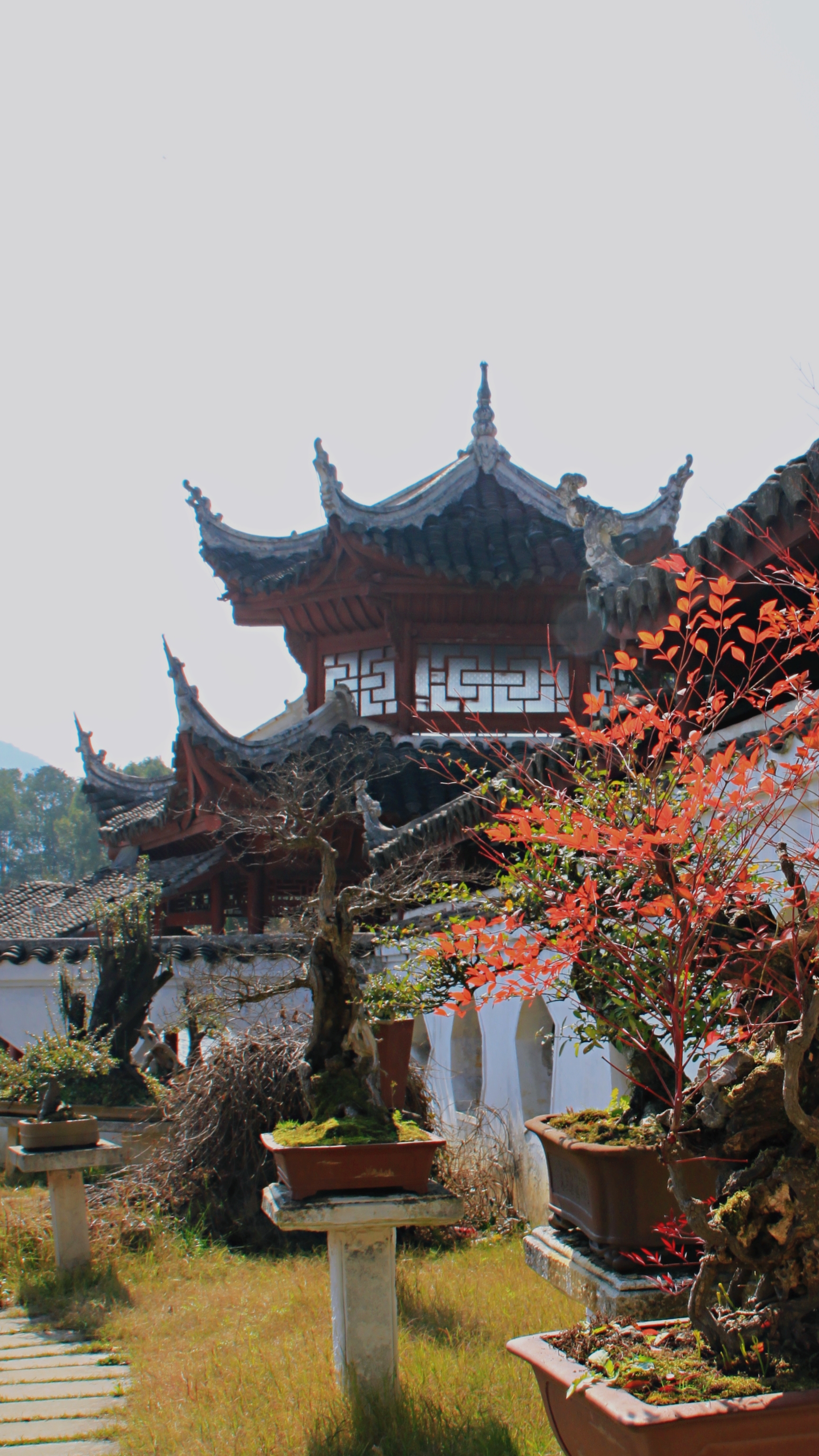 多彩贵州醉美黄果树,多彩贵州风演出黄果树