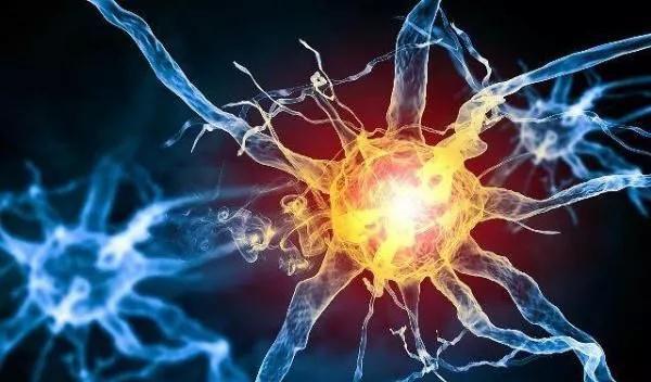 儿童为什么会患上植物神经紊乱,患上植物神经紊乱症怎么办