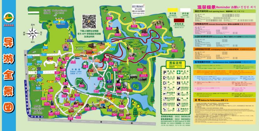 这里有只熊猫会叉腰!——上野的一大波“萌”兽来袭