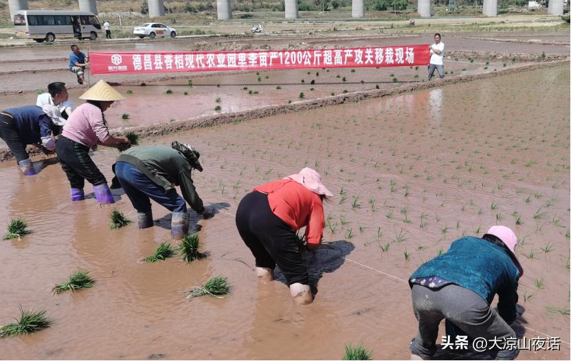 大凉山乡村振兴,遇见美丽大凉山1-8集