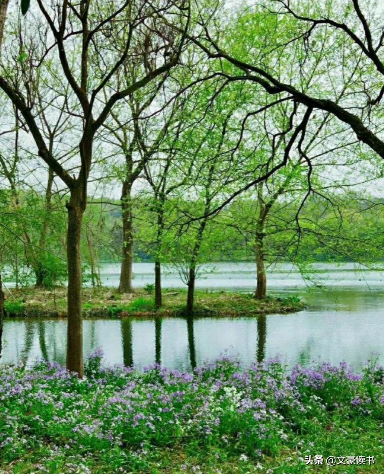 越是说不在乎的人越在乎说说,越说不在乎钱的人越小气