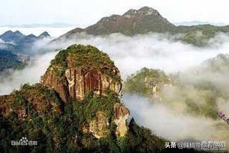 宁德大黄鱼之乡攻略,霞浦大黄鱼之乡图片