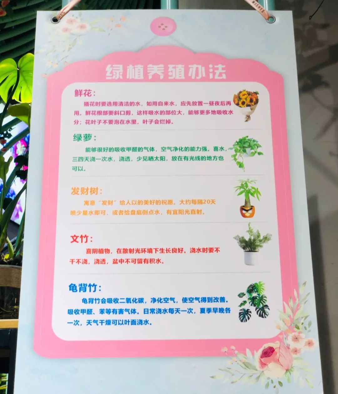 店面pop咋写,新店开业pop怎么写新手版