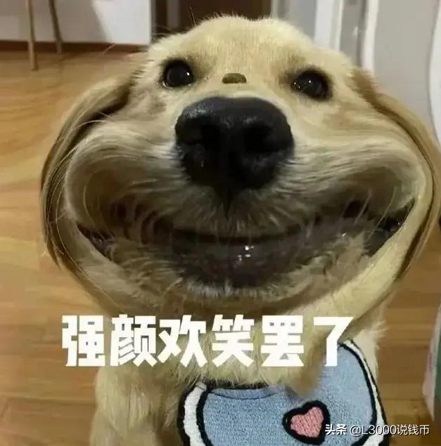 假货冰墩墩,冰墩墩为什么没有假货