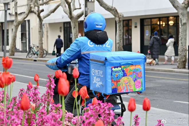 春日品牌营销,春日营销方案