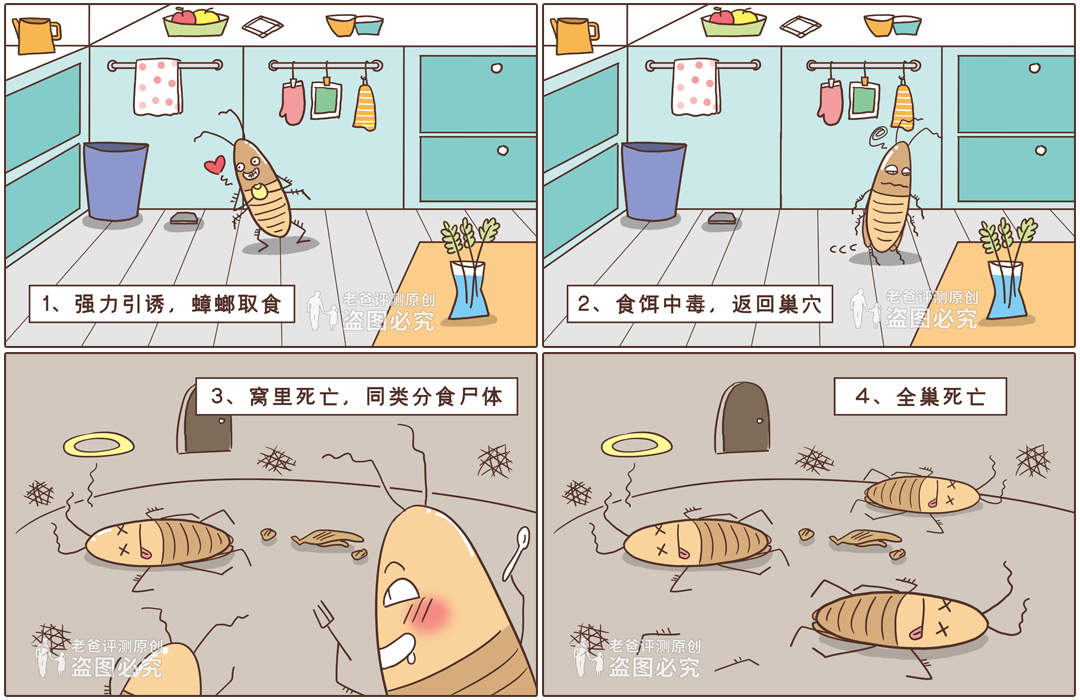 灭蟑神器第一名蟑螂克星测试,测评灭蟑螂神器排名第一