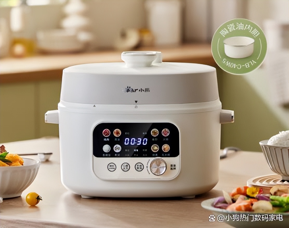 电压力锅十大品牌排名,十大品牌电压力锅质量排名图片