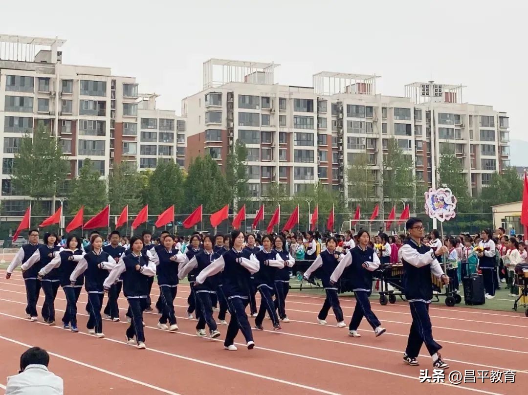 校园竞技体育的魅力,校园青春比赛