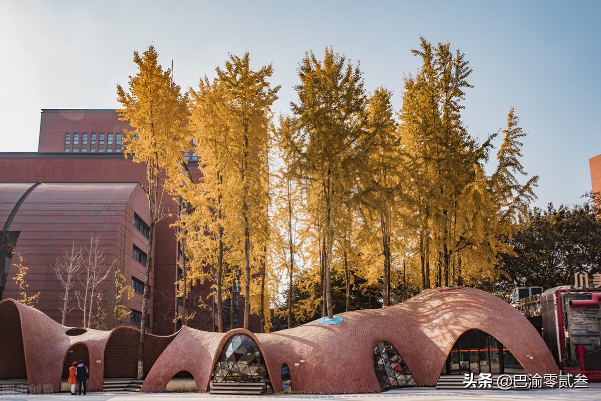 四川美术学院收不收港澳生,四川美术学院不能迁回四川吗