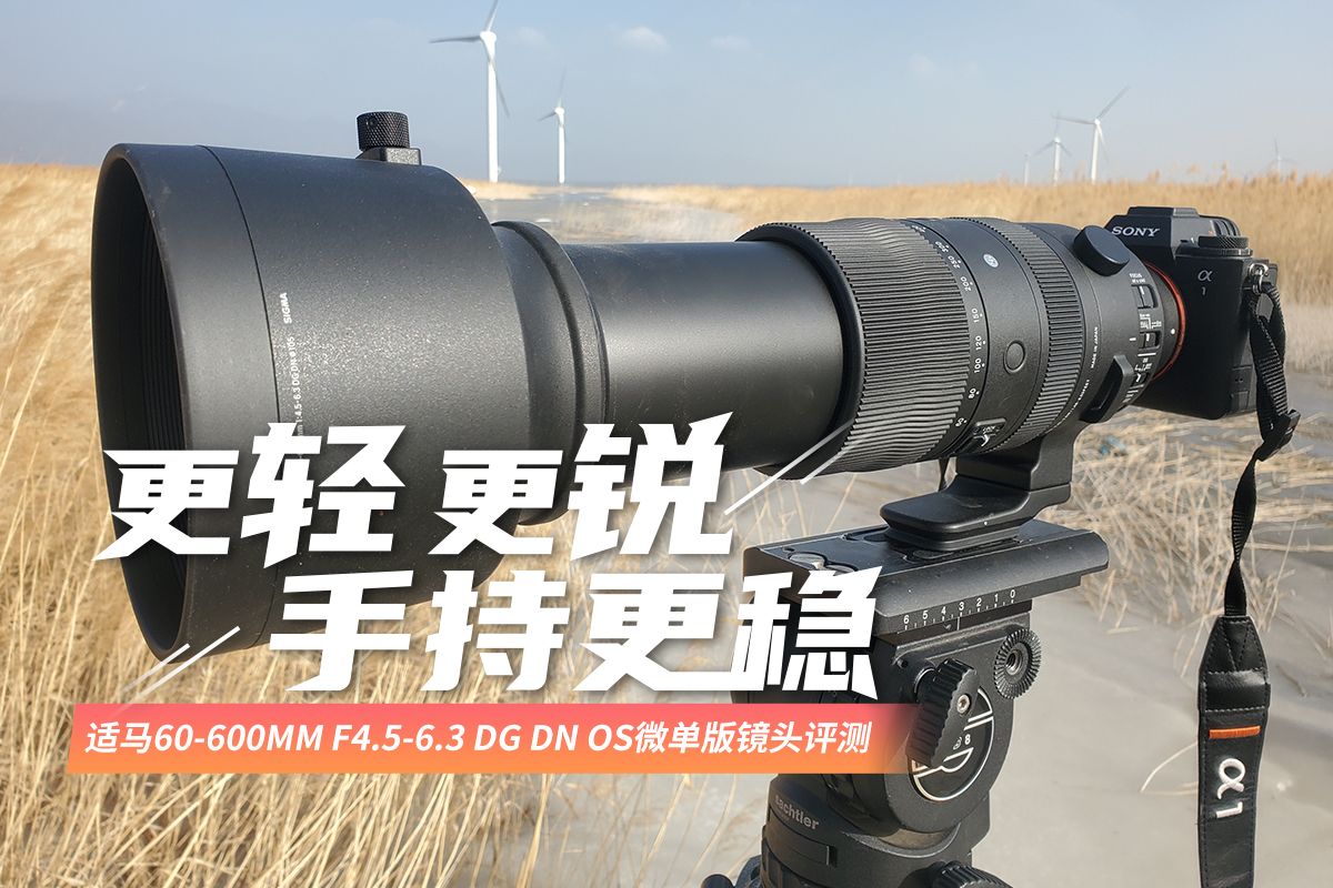 更轻、更锐、手持更稳适马60-600mmF4.5-6.3DGDNOS微单版镜头评测