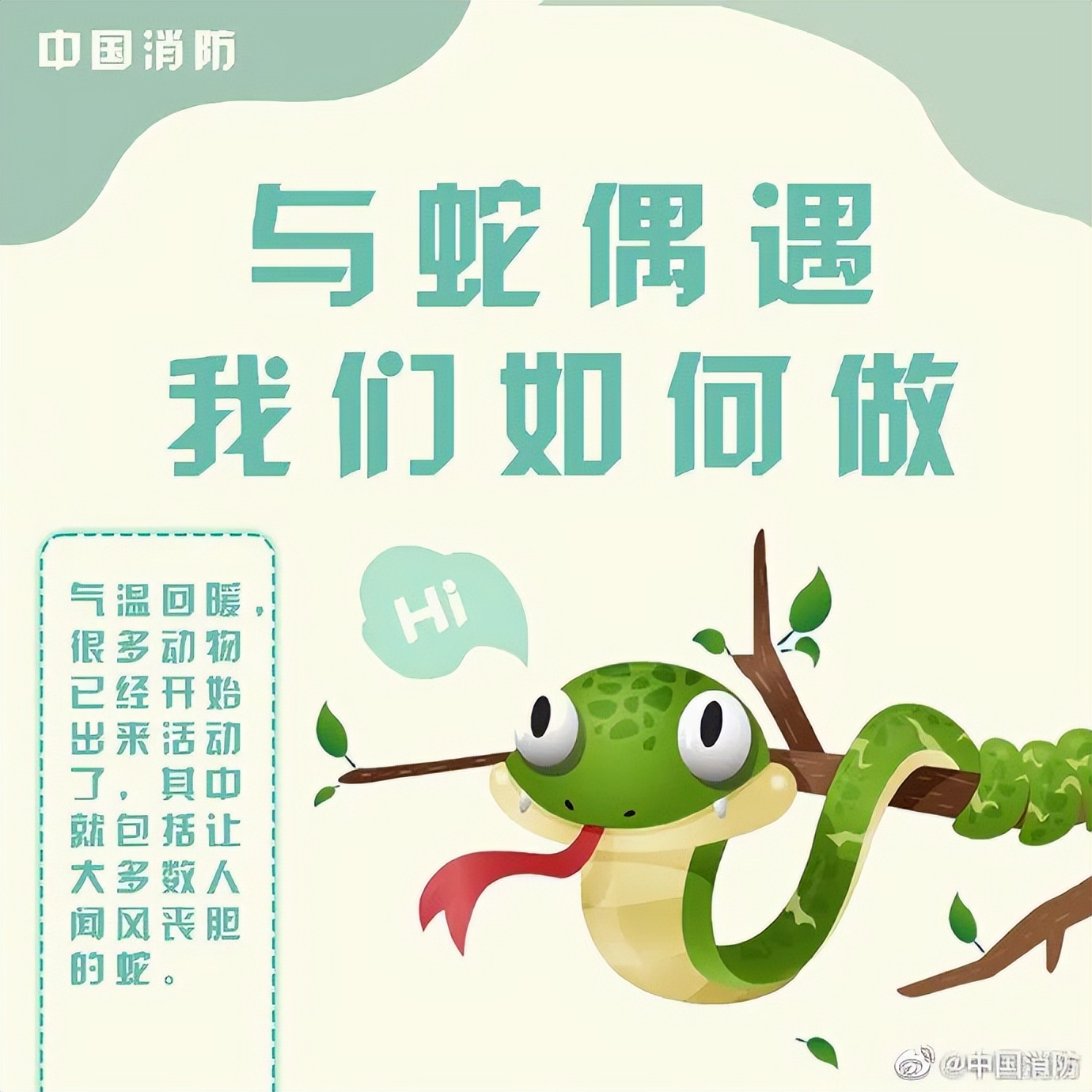 男子在床上被蛇吓视频,男子睡觉被蛇围脚