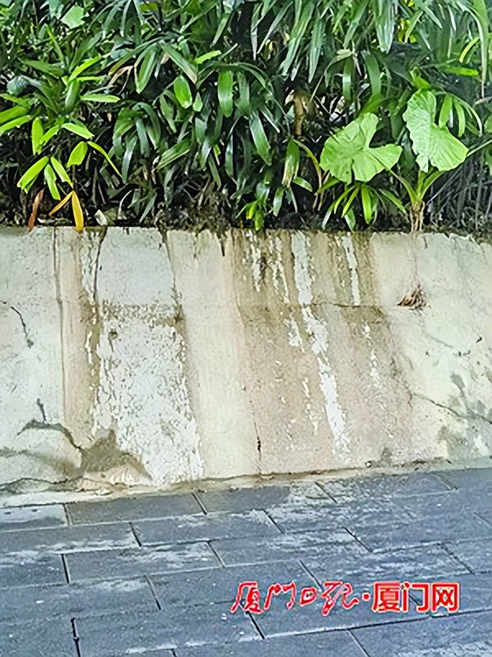 污水井反复满溢，居民苦不堪言……病根在哪？现场督办！