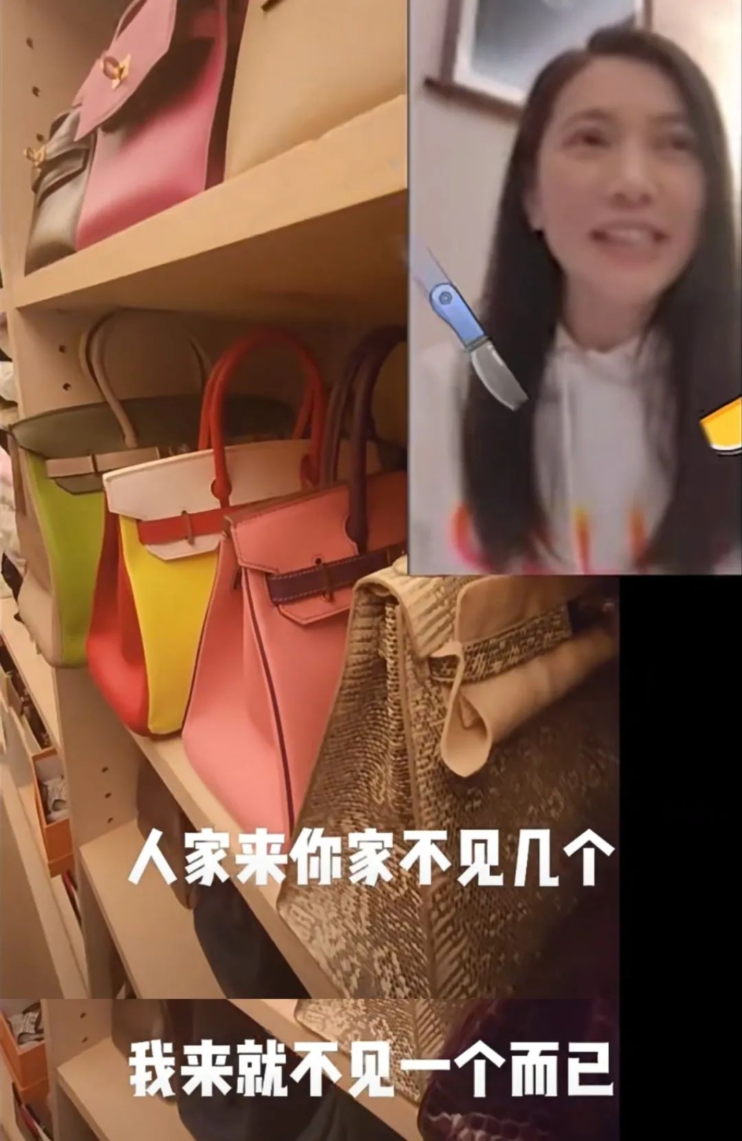 贵妇鄙视链,贵妇炫耀爱马仕包