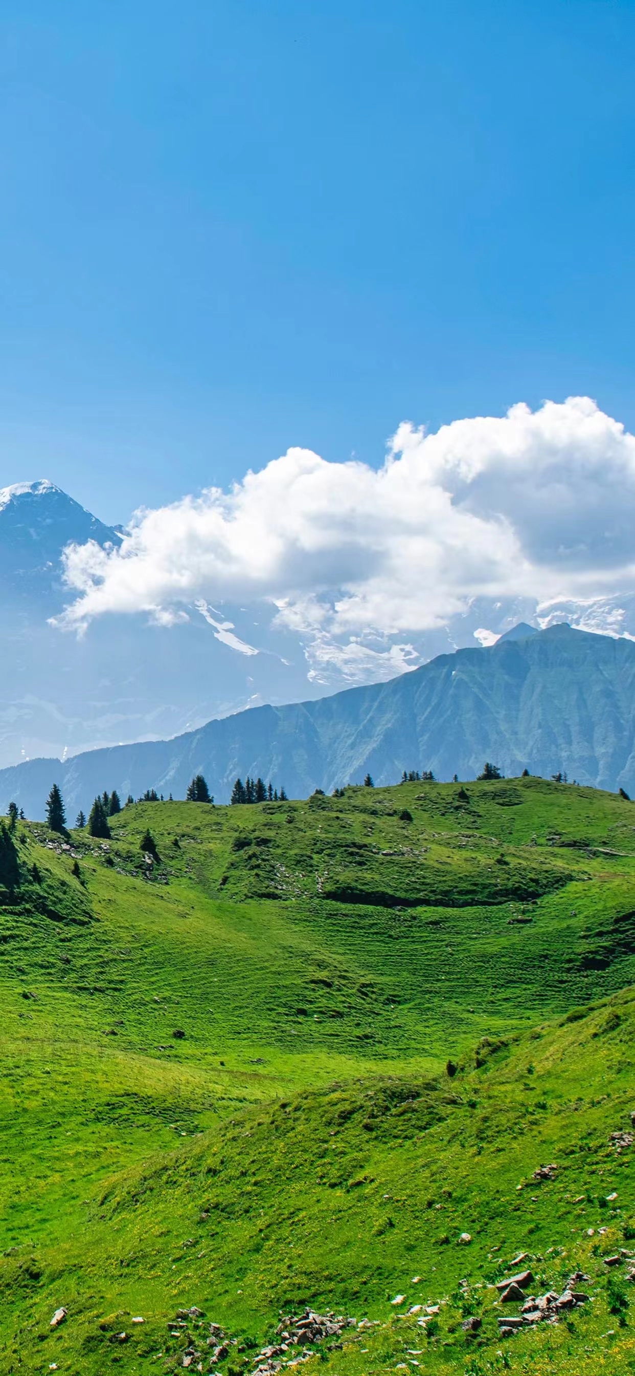 4k超清手机壁纸3120,498超清手机壁纸