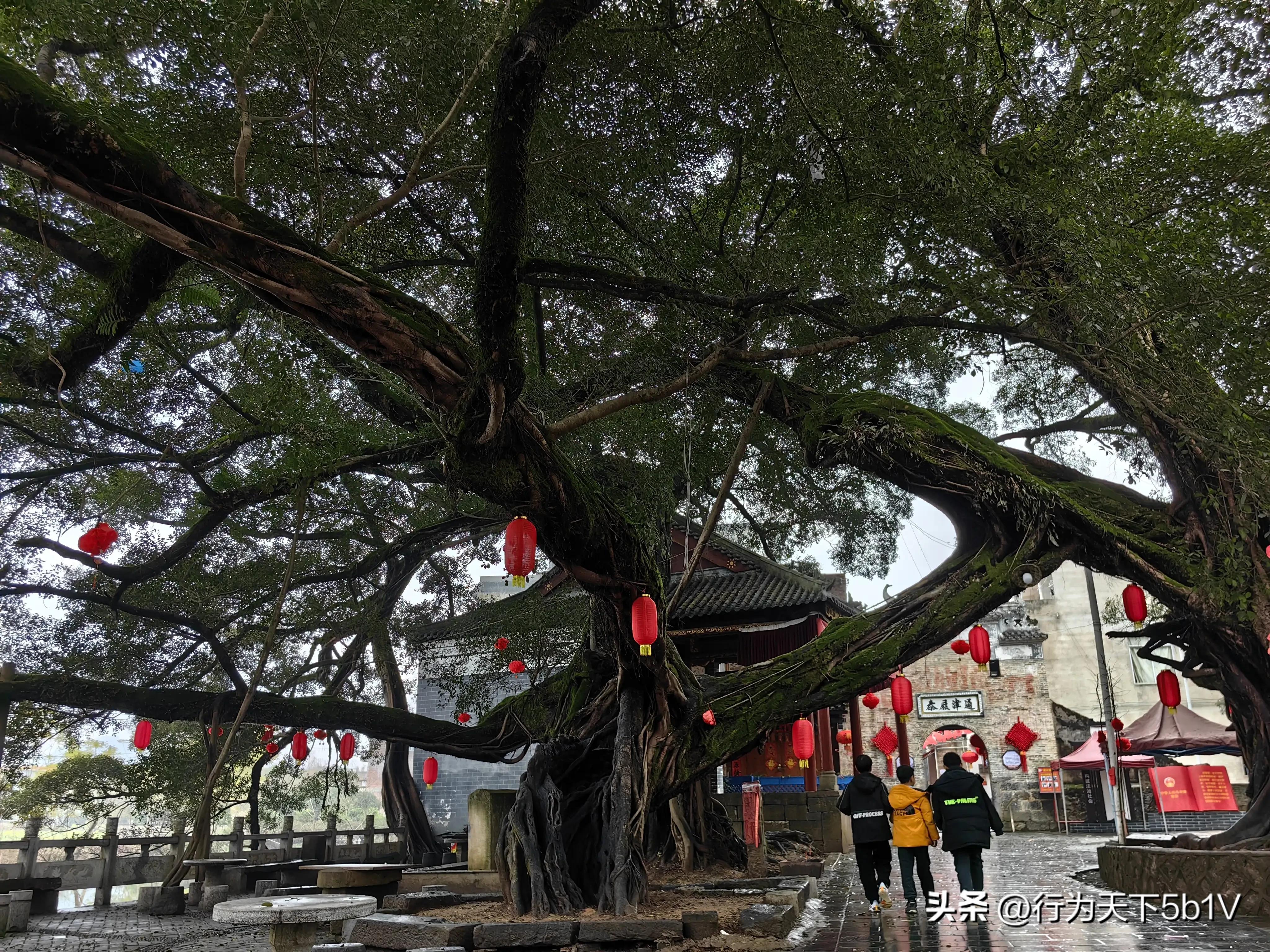 【平乐十里画廊鬼斧神工伟人石像】穿越唐*平宋**乐榕津千年古镇！