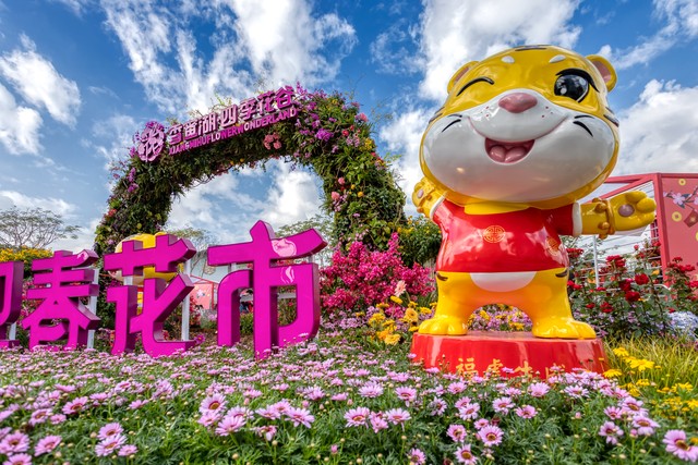 香港景点介绍大全,香港旅游十大必去景点排行榜