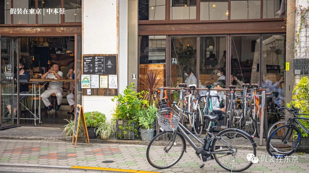 365张照片回顾,365张相片