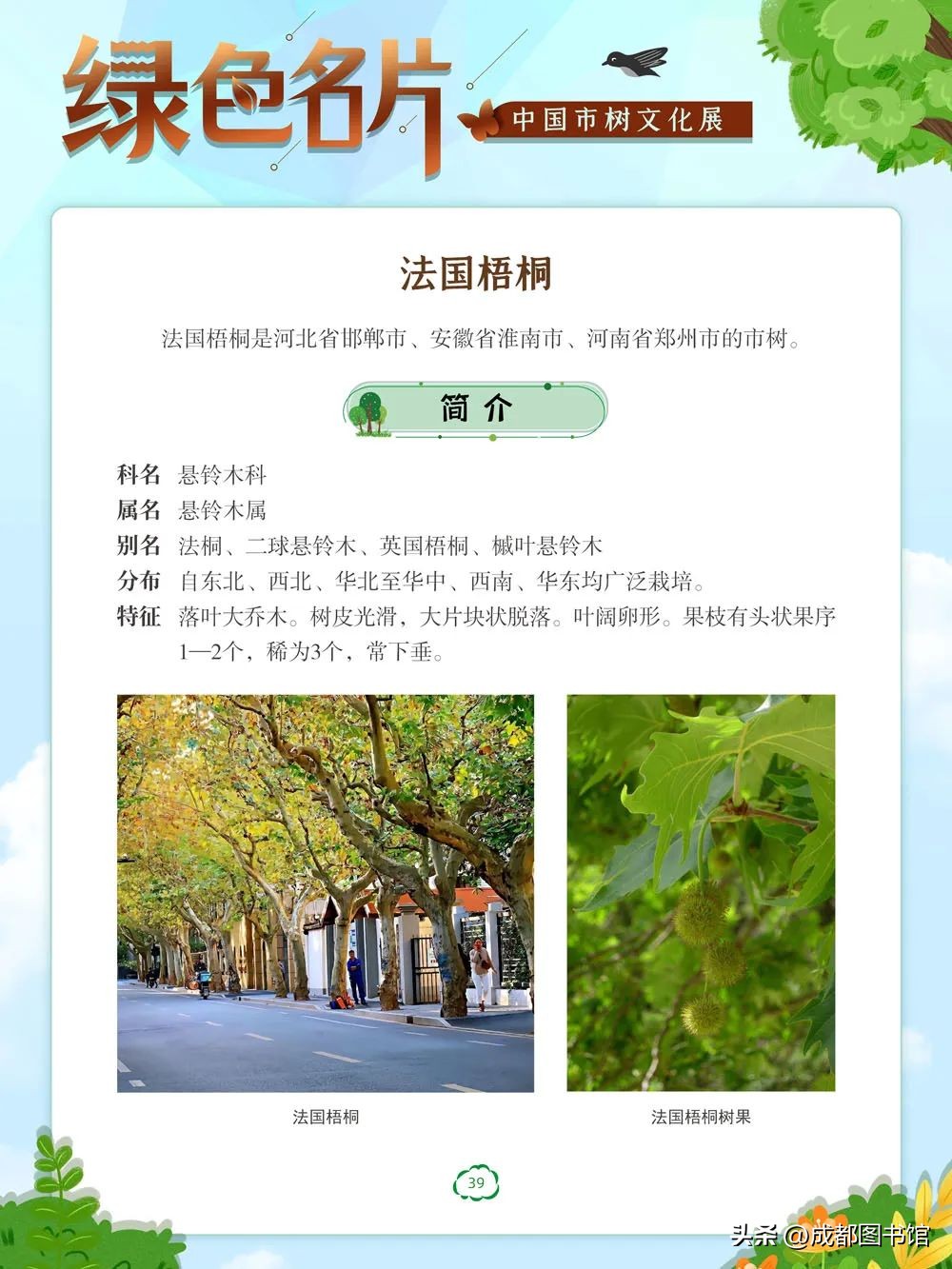 数字文化资源宣传,数字文化资源