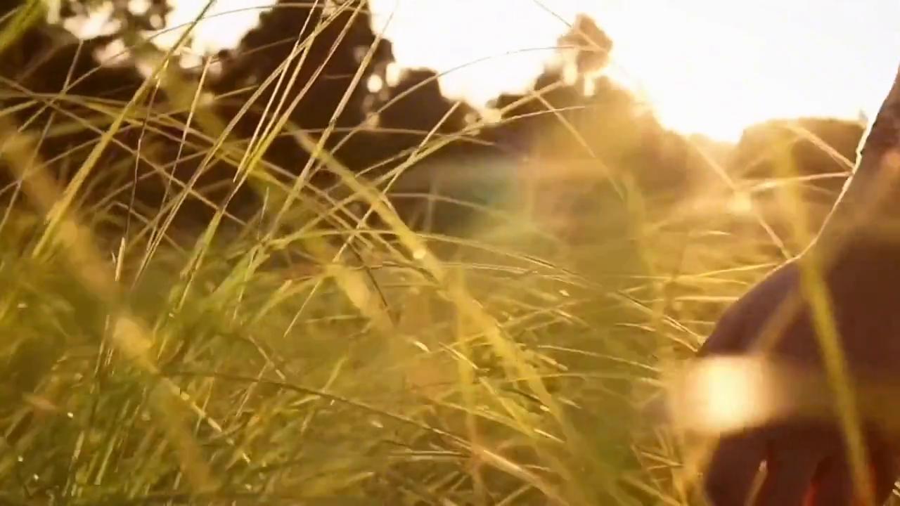 如何提升语言表达能力文章,如何提升语言组织表达能力