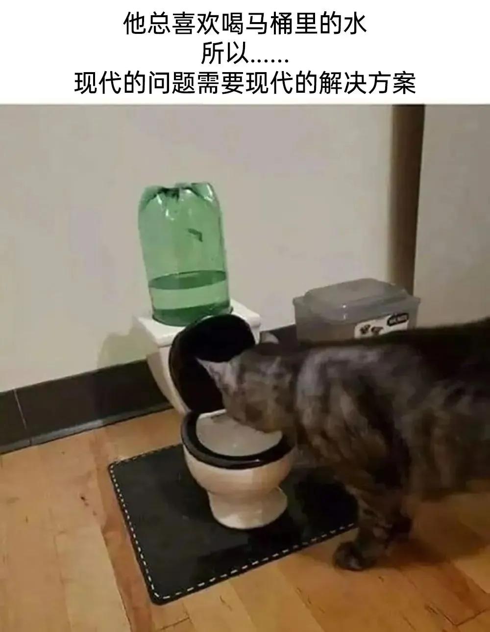 lifeme搞笑图片,月初月末搞笑图片