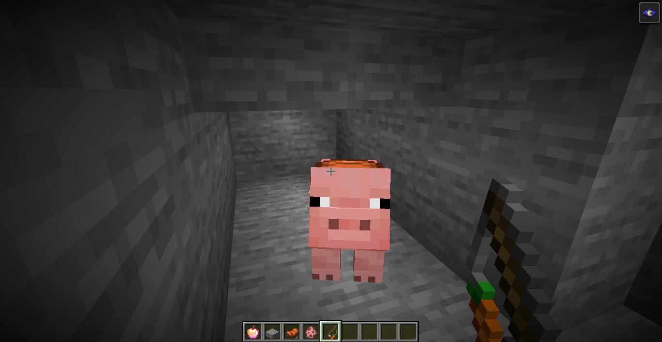 我的世界卡透视为什么看不到,我的世界可以卡无限装备的办法