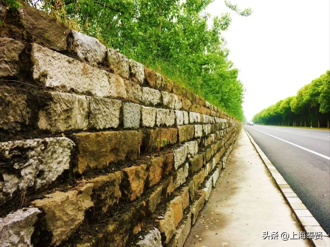 柘林绿色智慧小镇,2023年奉贤区柘林镇最新规划