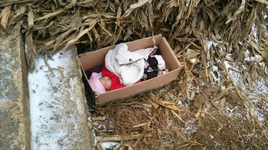 13岁洪战辉现状,洪战辉13岁的肩膀撑起整个家