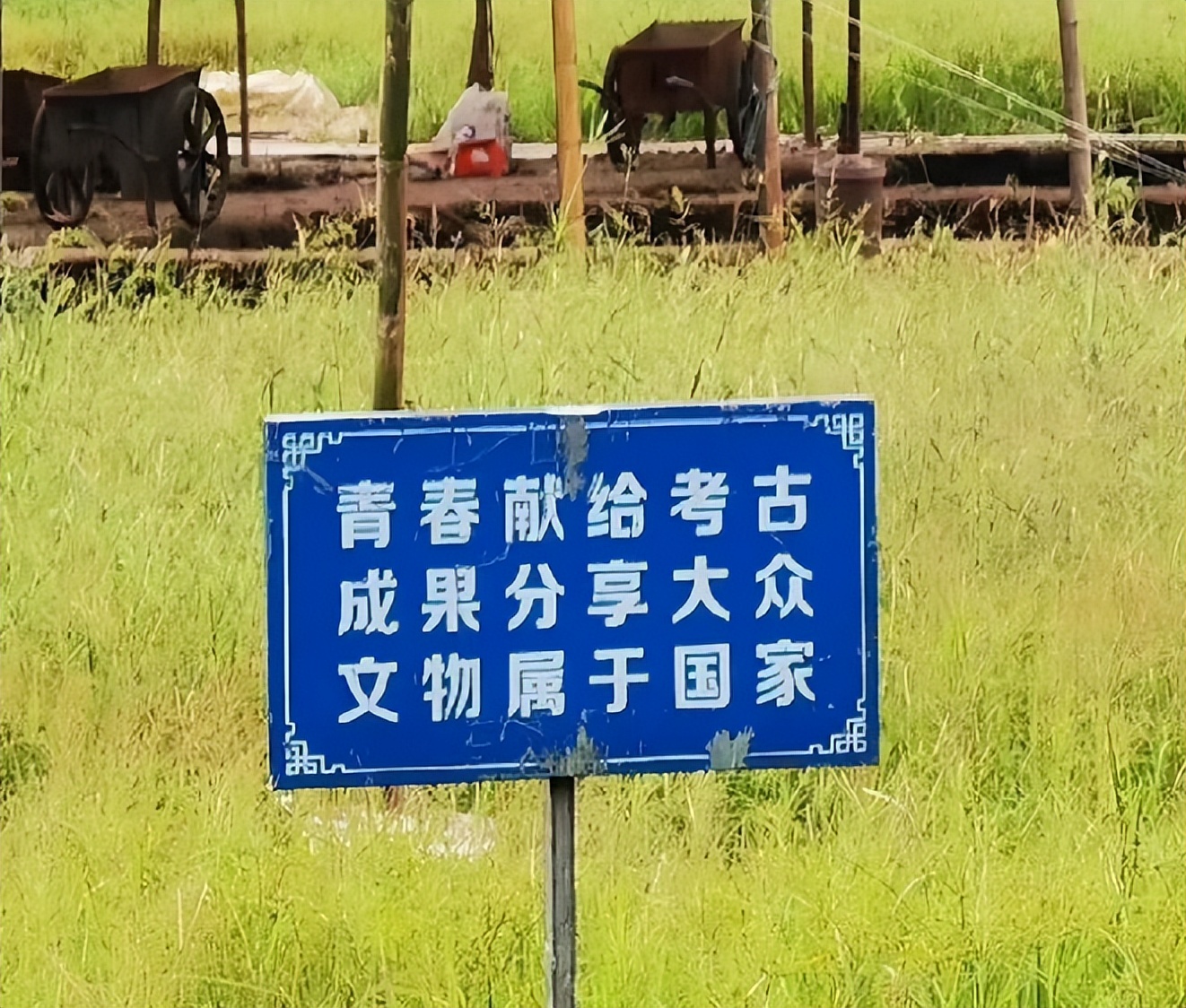 大学读了个土木工程,大学读的我很累很烦