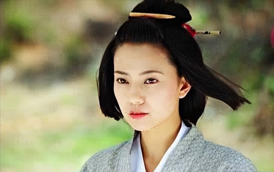 铁胆神侯发现素心和古三通有儿子,铁胆神侯跟海棠谈古三通