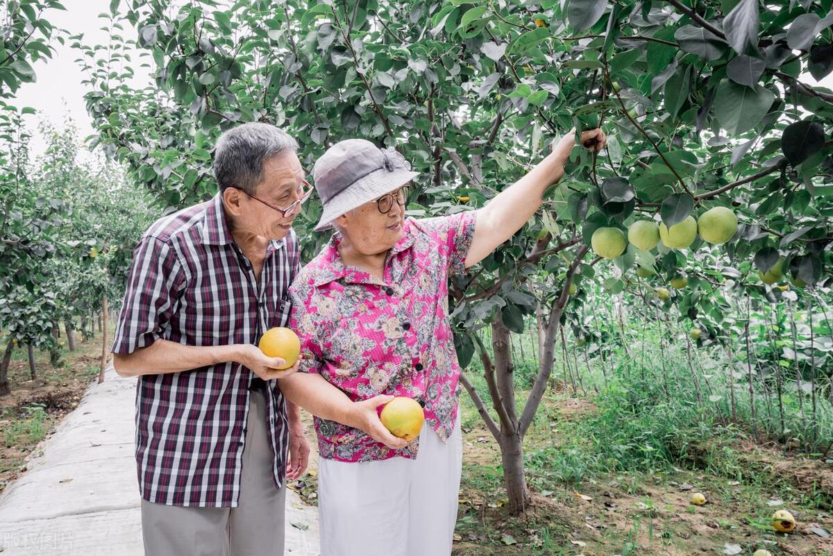 俗语人老两个坎熬过就长寿,农村老话人生经历三道坎