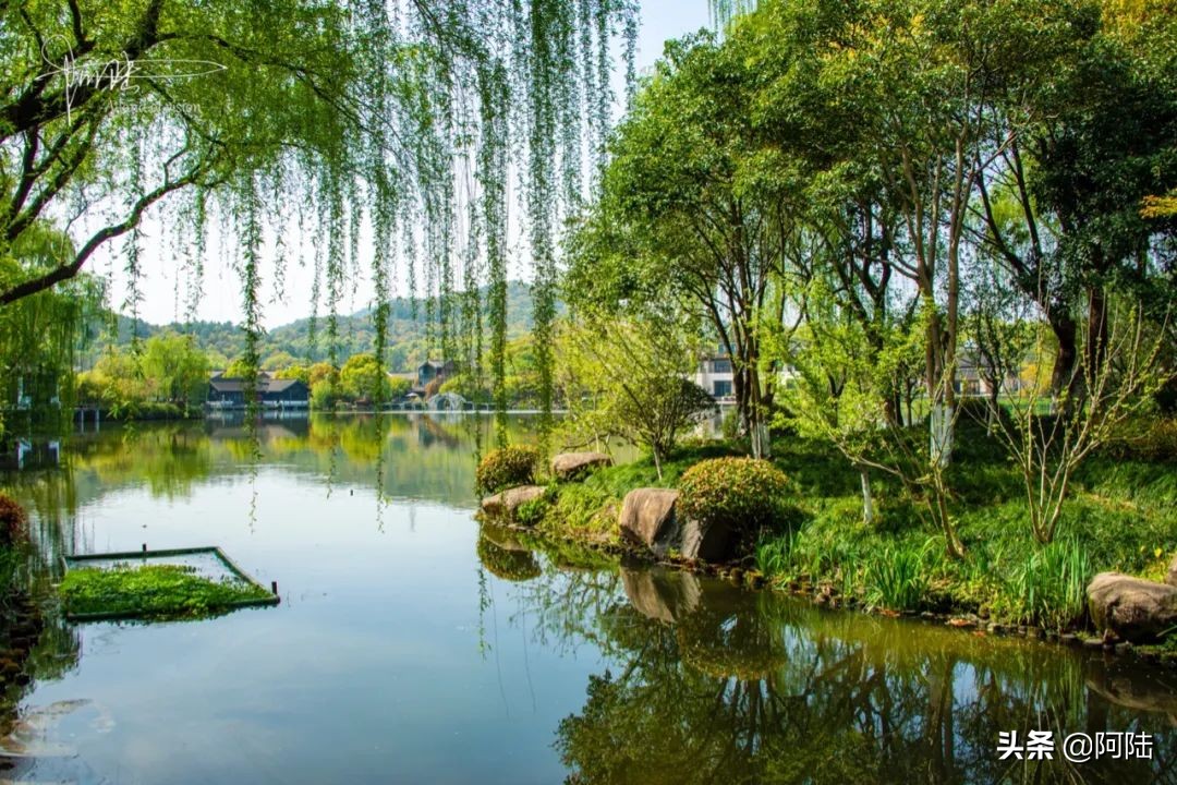 杭州城南有个鲜为人知的水景公园,杭州景点平湖秋月