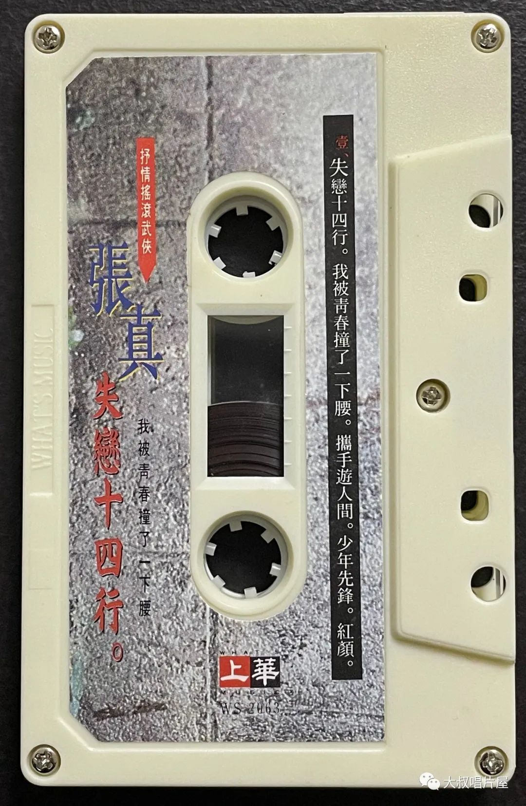 当年最火的50首经典歌,1993年华语乐坛神曲大爆发