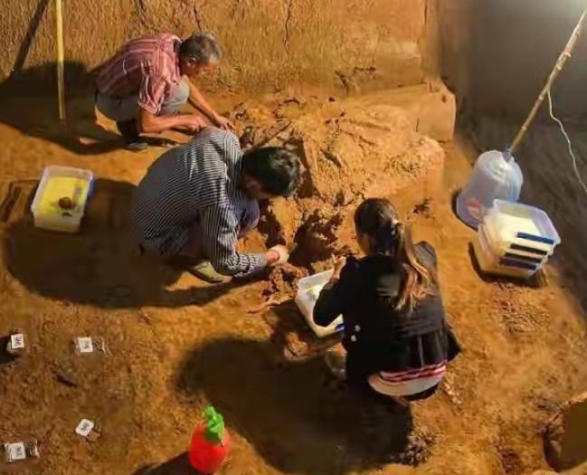 西安挖出219块金饼,烧砖挖出价值20亿的金饼