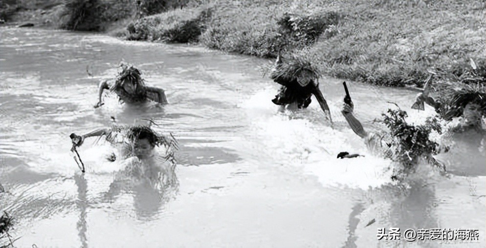 四十年前68张老照片,四十年前老照片大全