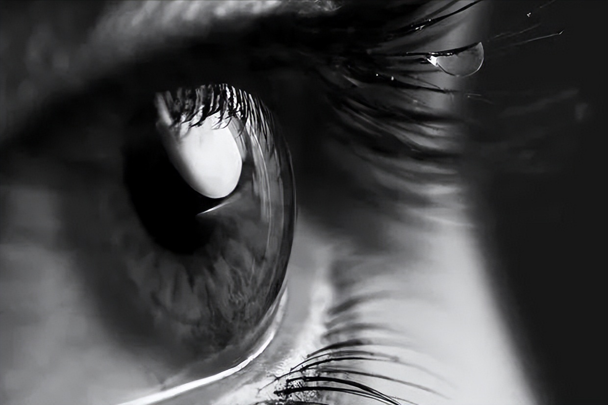 我和妈妈分离20年,我和妈妈的最后一年吵架