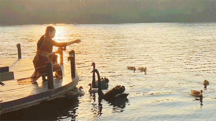 最值得入住的国宾馆推荐,最值得体验的国宾馆