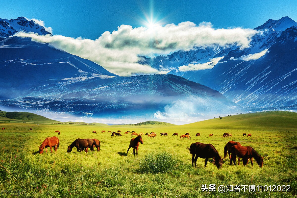 新西兰旅行27.聊聊新西兰的杂七杂八2【南岛旅游篇】【16022023】