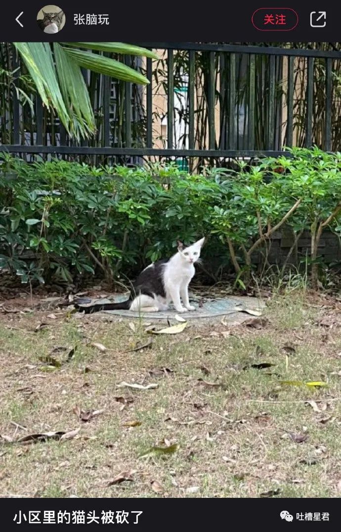 女友穿吊带裙男朋友的反应,女友买了新裙子