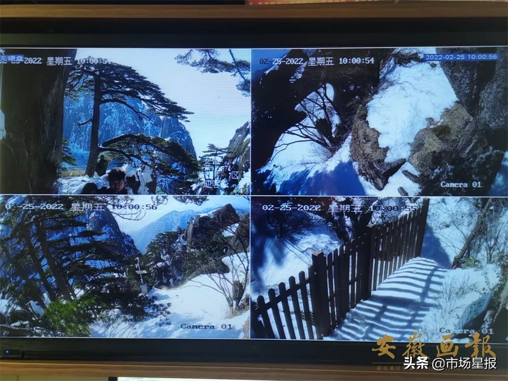 黄山迎客松守松人胡晓春,胡晓春黄山迎客松的守护者