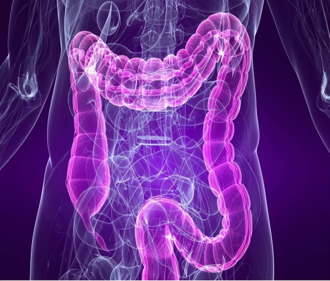 排出体内长期粪便宿便的最好方法,人体内的宿便可以清除吗