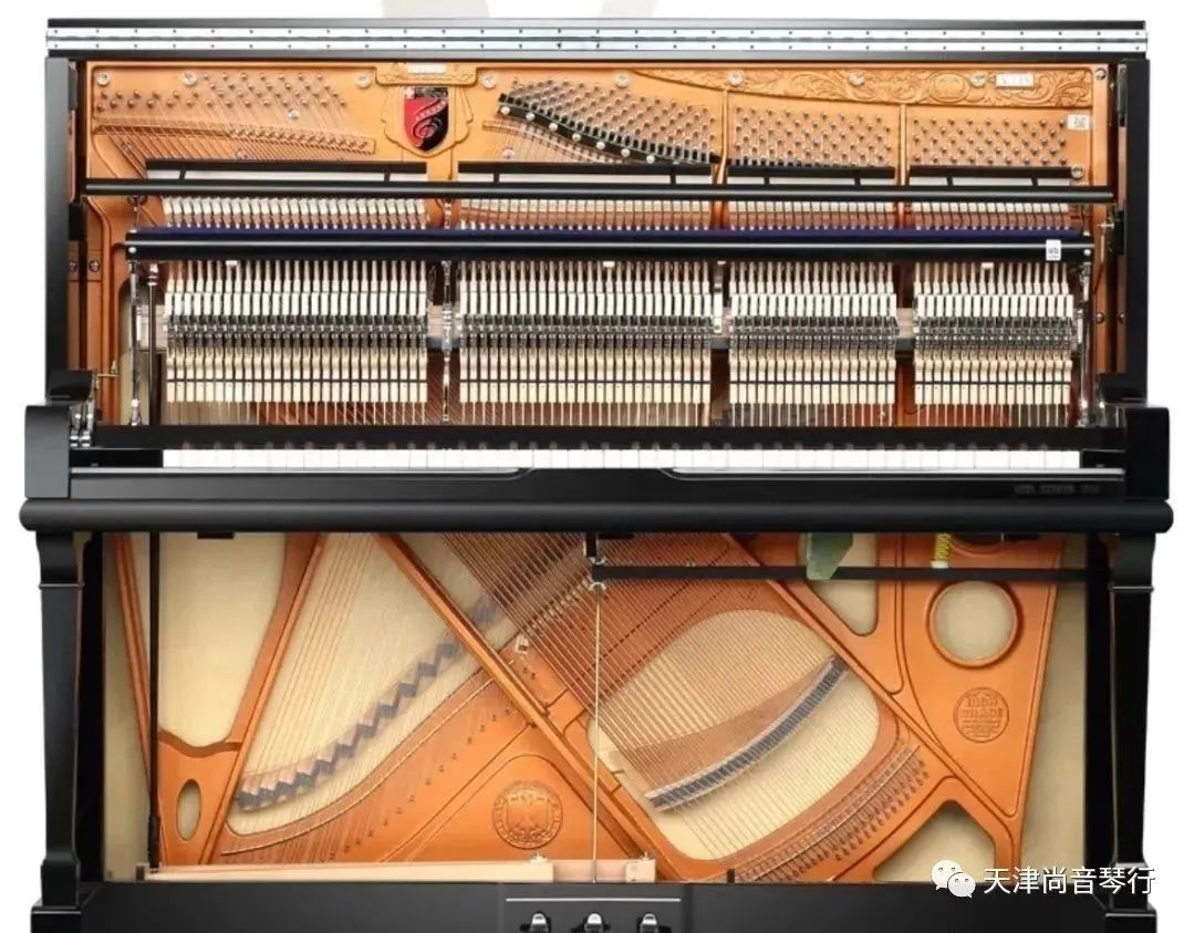 实木顶杆和ABS塑料哪个好？尚音琴行告诉您