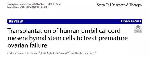 间充质干细胞治疗卵巢早衰,自体干细胞移植卵巢早衰详细过程