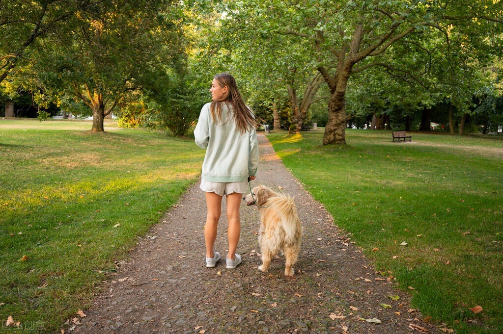 女生养大狗什么心理,养大狗的女生
