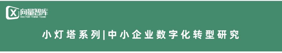 灯塔工厂数字化转型白皮书,小灯塔公司
