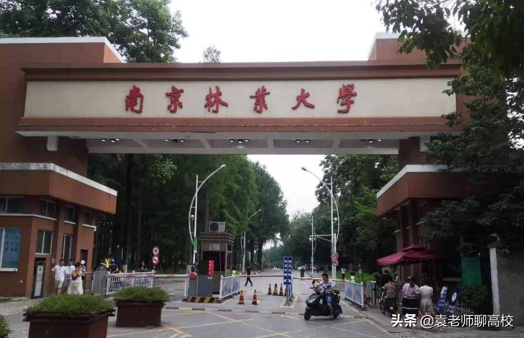 南京林业大学是211还是985呢,南京林业大学是985还是211大学
