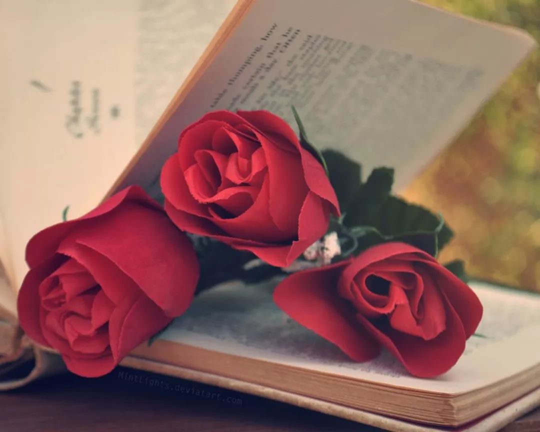 520致我爱的人和爱我的人,520致对我最在乎的人