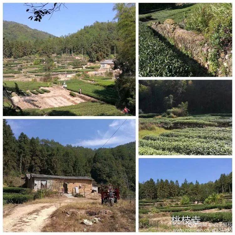 武夷山自然遗产有哪些,武夷山有哪些古迹