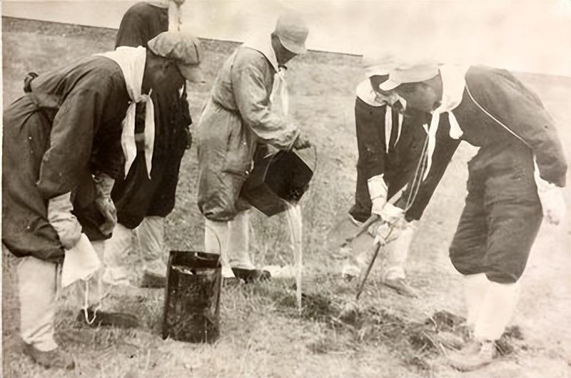 1945哈尔滨鼠疫,抗击东北鼠疫