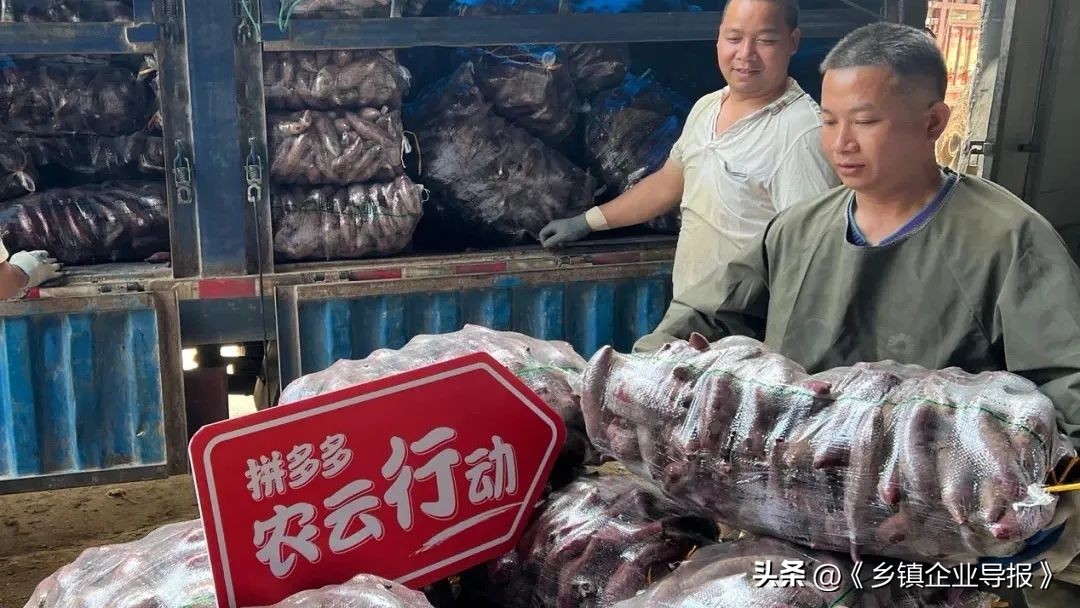 乡村振兴电商助农图片,乡村振兴助农计划项目商业模式