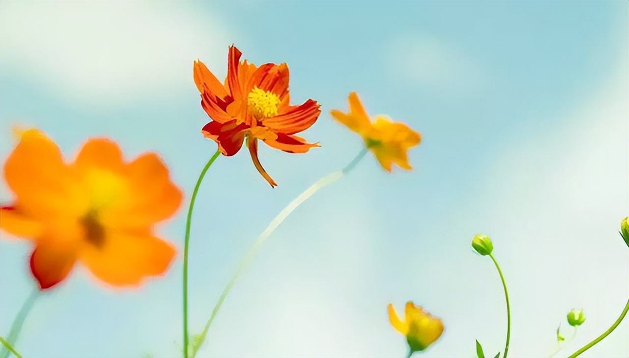 情人相处如何才能长久,情人相处怎么样才不累